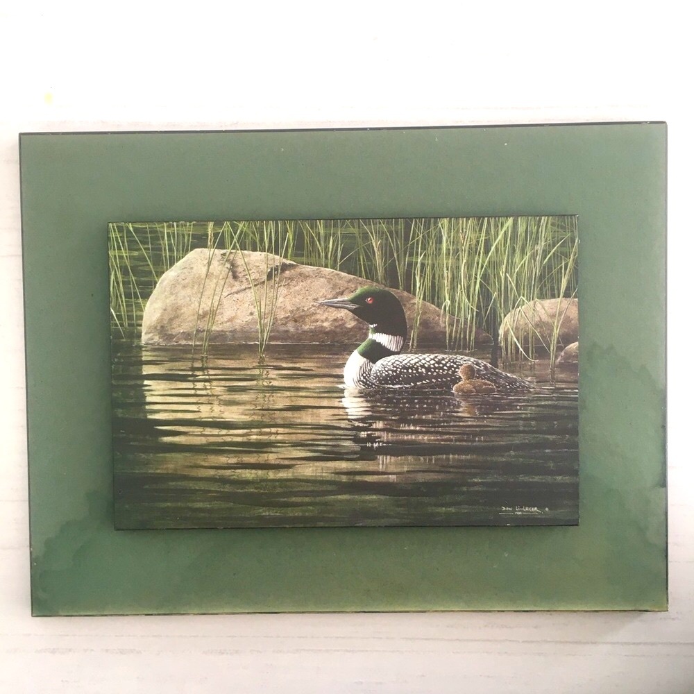 Canadian Loon Family Signed by Artist Don Li-Leger